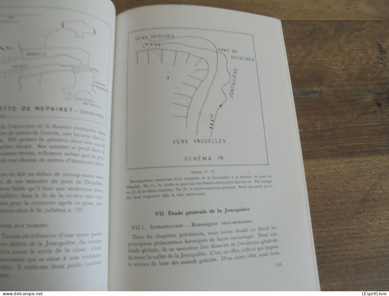 LES NATURALISTES BELGES N° 2 Année 1974 Régionalisme Loups Lorraine Grotte Vaucelles Doische Joncquière Géologie