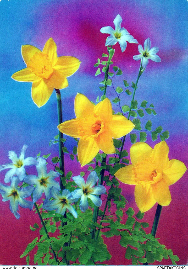 FLOWERS Vintage Ansichtskarte Postkarte CPSM #PBZ433.A - Blumen