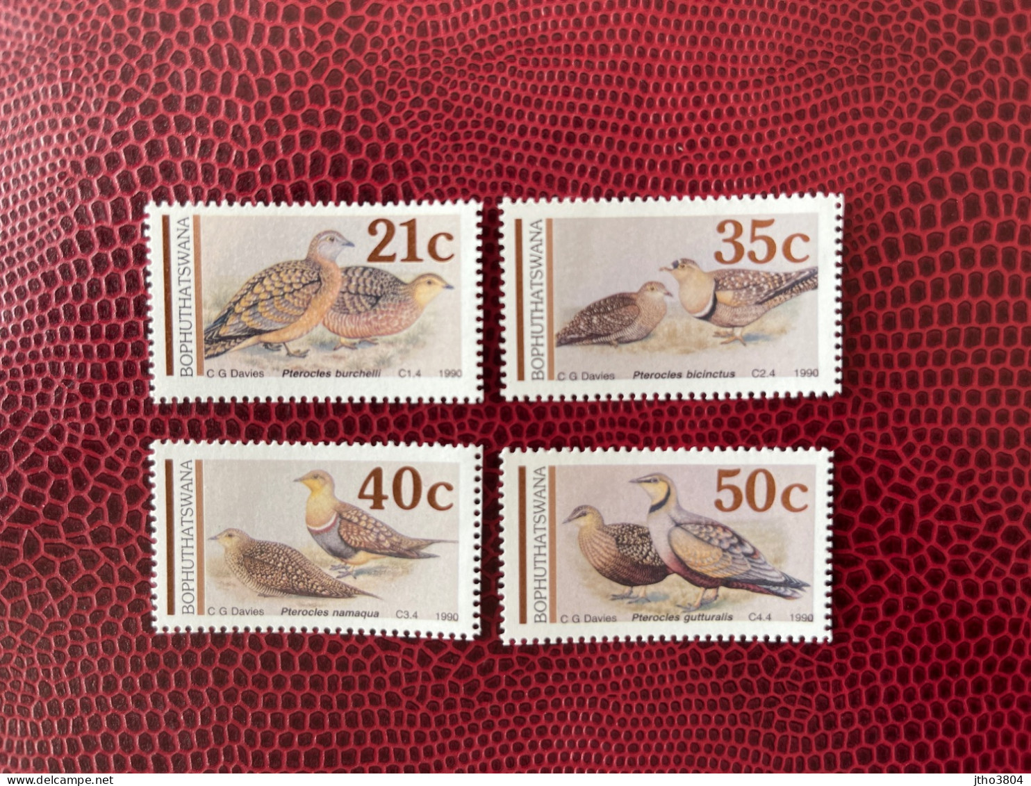 BOPHUTHTSWANA Afrique Du Sud 1990 4v Neuf MNH ** Mi 239 242  Pájaro Bird Pássaro Vogel Ucello Oiseau SOUTH AFRICA - Columbiformes