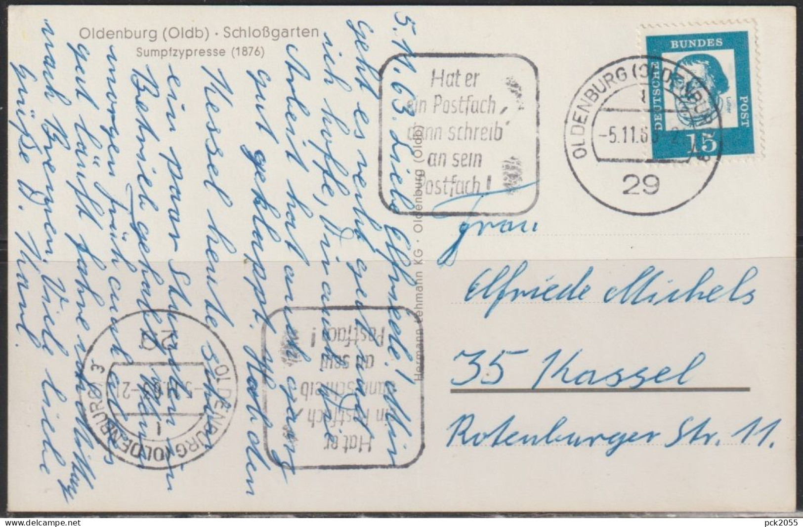 Oldenburg - Schloßgarten -Sumpfzypresse (1876) - Gelaufen 1963 ( AK 5055 ) Günstige Versandkosten - Oldenburg