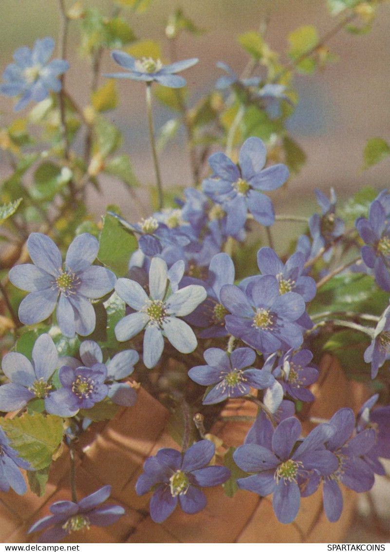 FIORI Vintage Cartolina CPSM #PAR400.A - Flowers