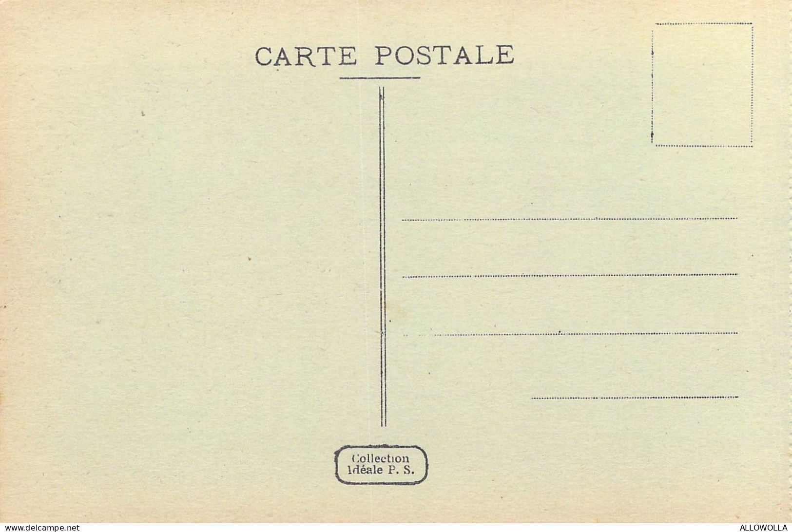 27034 " ALGER-UNE VUE DE LA CATHÉDRALE ET DE LA HAUTE VILLE " ANIMÉ-VERA FOTO-CART. POST.  NON SPED. - Algiers