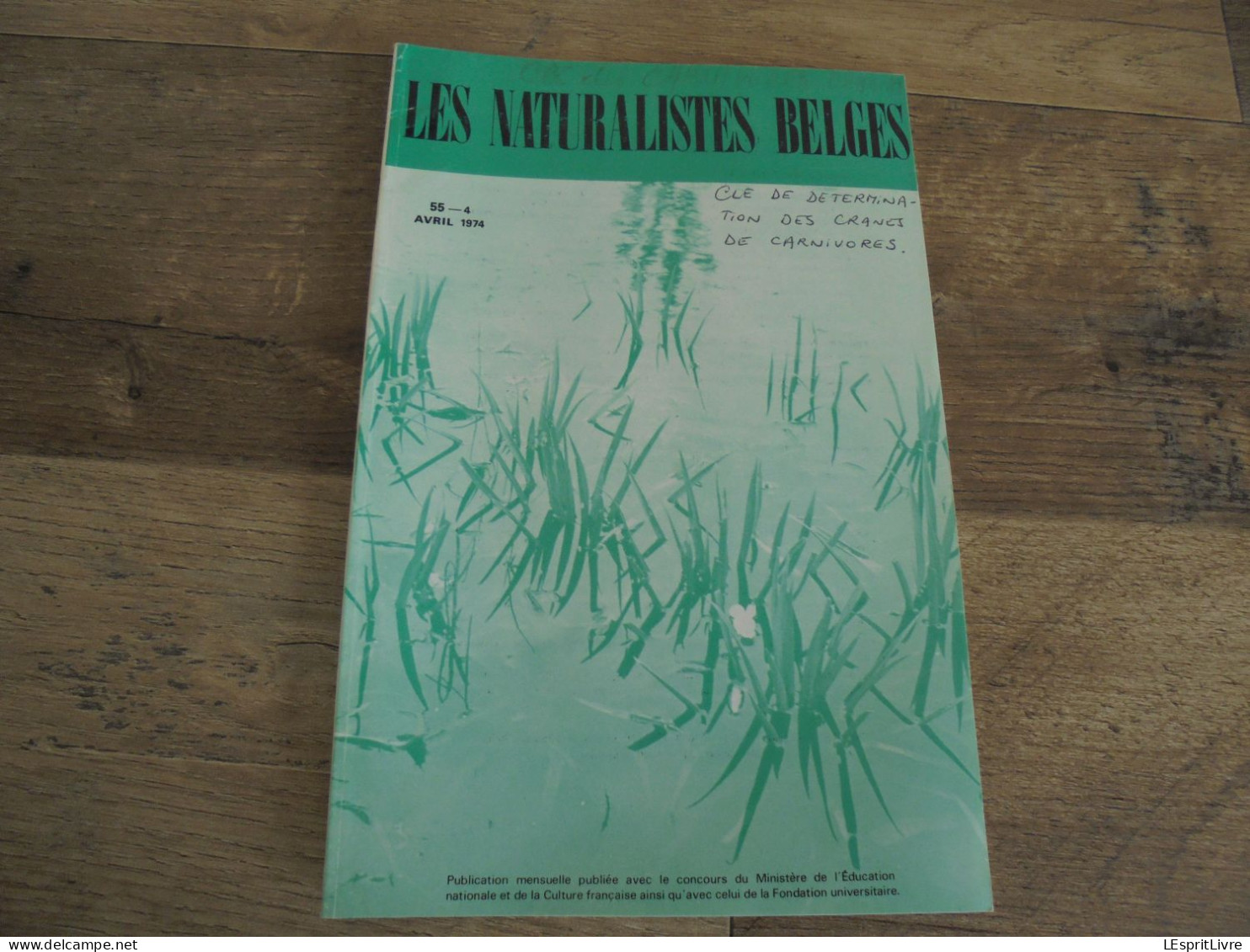 LES NATURALISTES BELGES N° 4 Année 1974 Régionalisme Salamandre Forêt De Soignes Carnivores Belgique Clé Détermination - Belgique