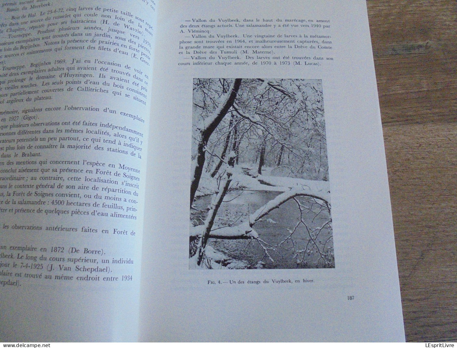 LES NATURALISTES BELGES N° 4 Année 1974 Régionalisme Salamandre Forêt De Soignes Carnivores Belgique Clé Détermination - Belgium