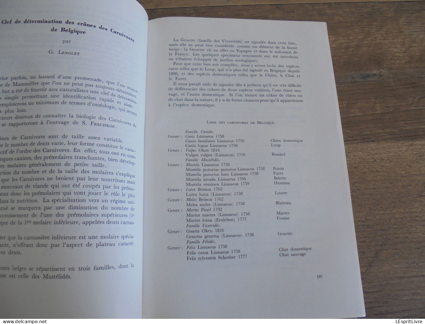 LES NATURALISTES BELGES N° 4 Année 1974 Régionalisme Salamandre Forêt de Soignes Carnivores Belgique Clé Détermination