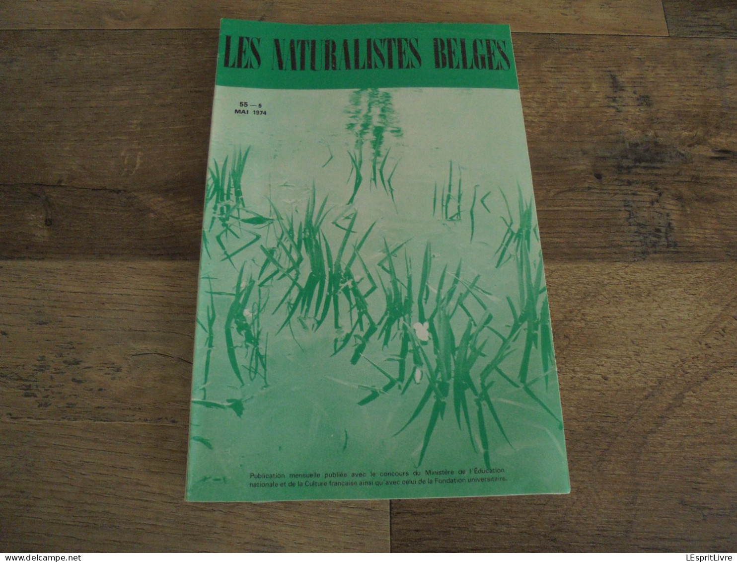 LES NATURALISTES BELGES N° 5 Année 1974 Régionalisme La Végétation Des Murs Plantes Botanique Flore - Belgien
