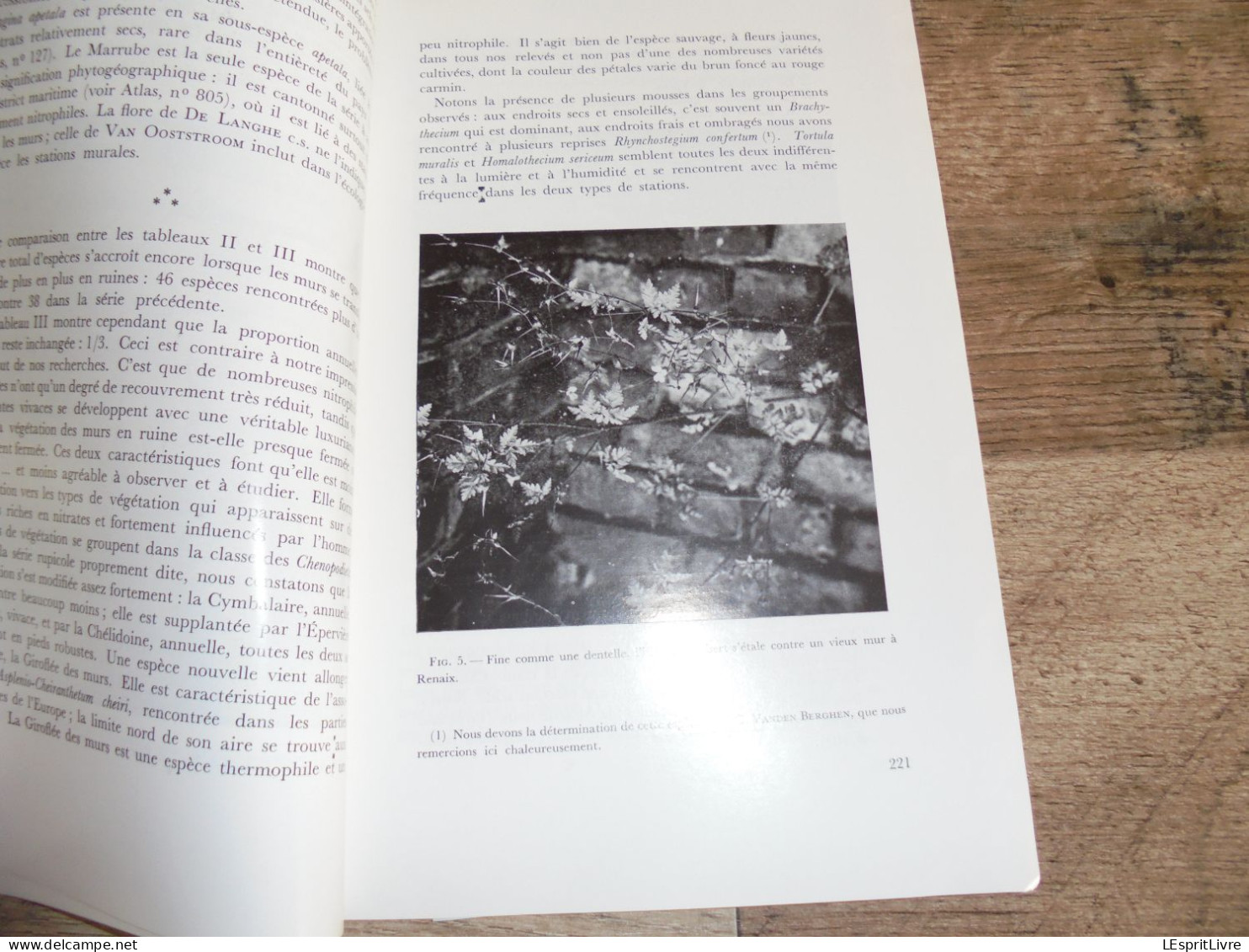 LES NATURALISTES BELGES N° 5 Année 1974 Régionalisme La Végétation Des Murs Plantes Botanique Flore - België