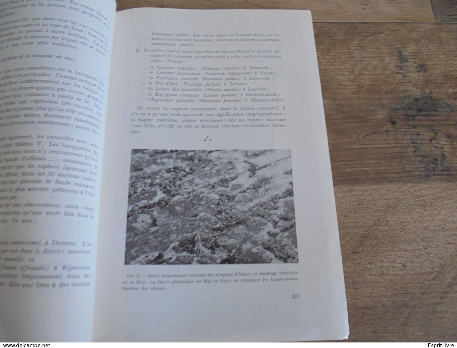 LES NATURALISTES BELGES N° 5 Année 1974 Régionalisme La Végétation Des Murs Plantes Botanique Flore - Belgien