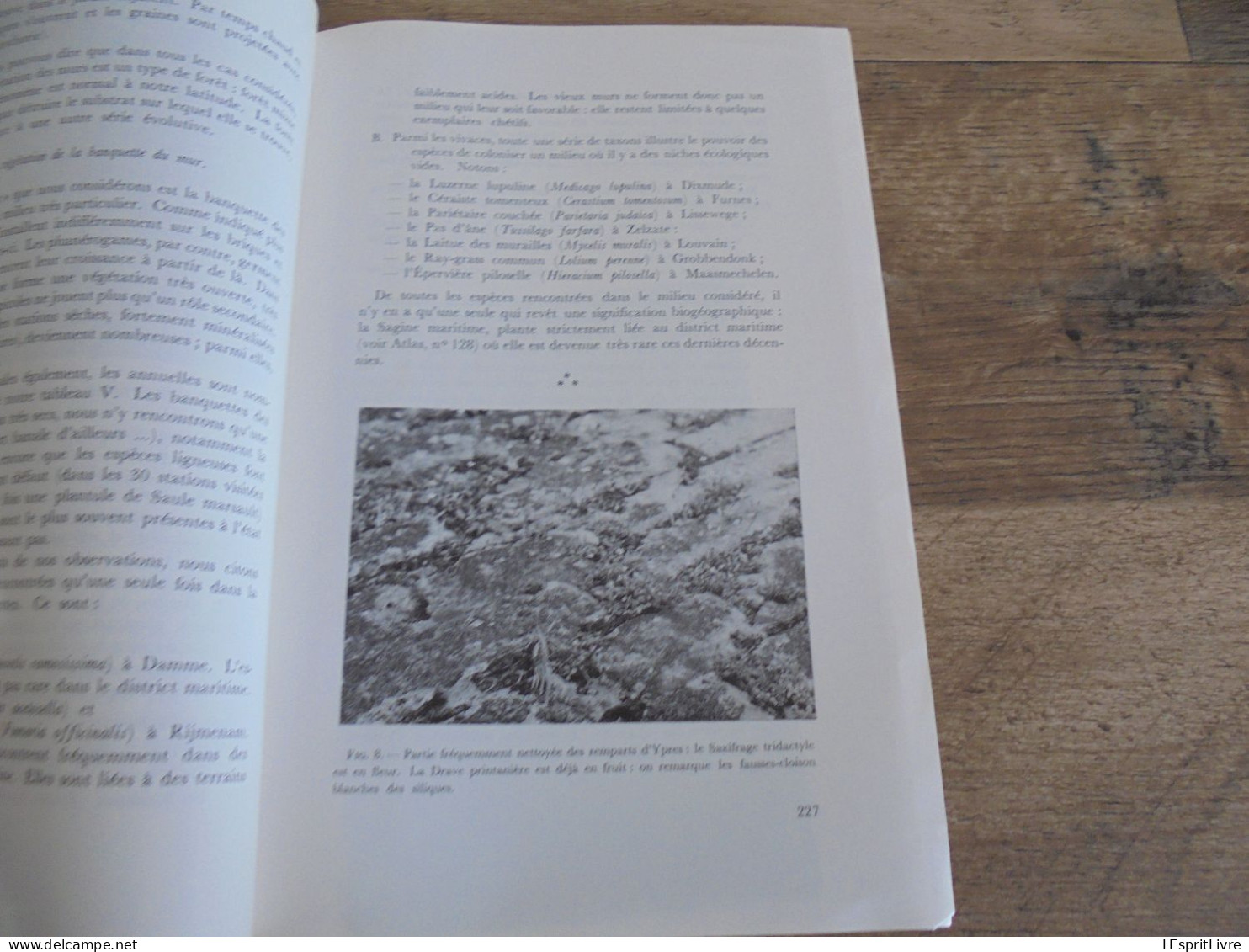 LES NATURALISTES BELGES N° 5 Année 1974 Régionalisme La Végétation Des Murs Plantes Botanique Flore - Belgique