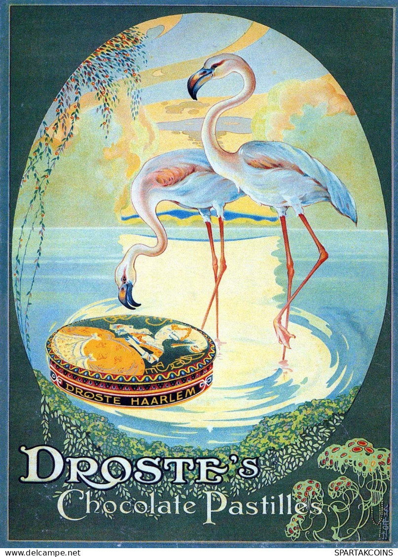BIRD Animals Vintage Postcard CPSM #PBR404.A - Birds