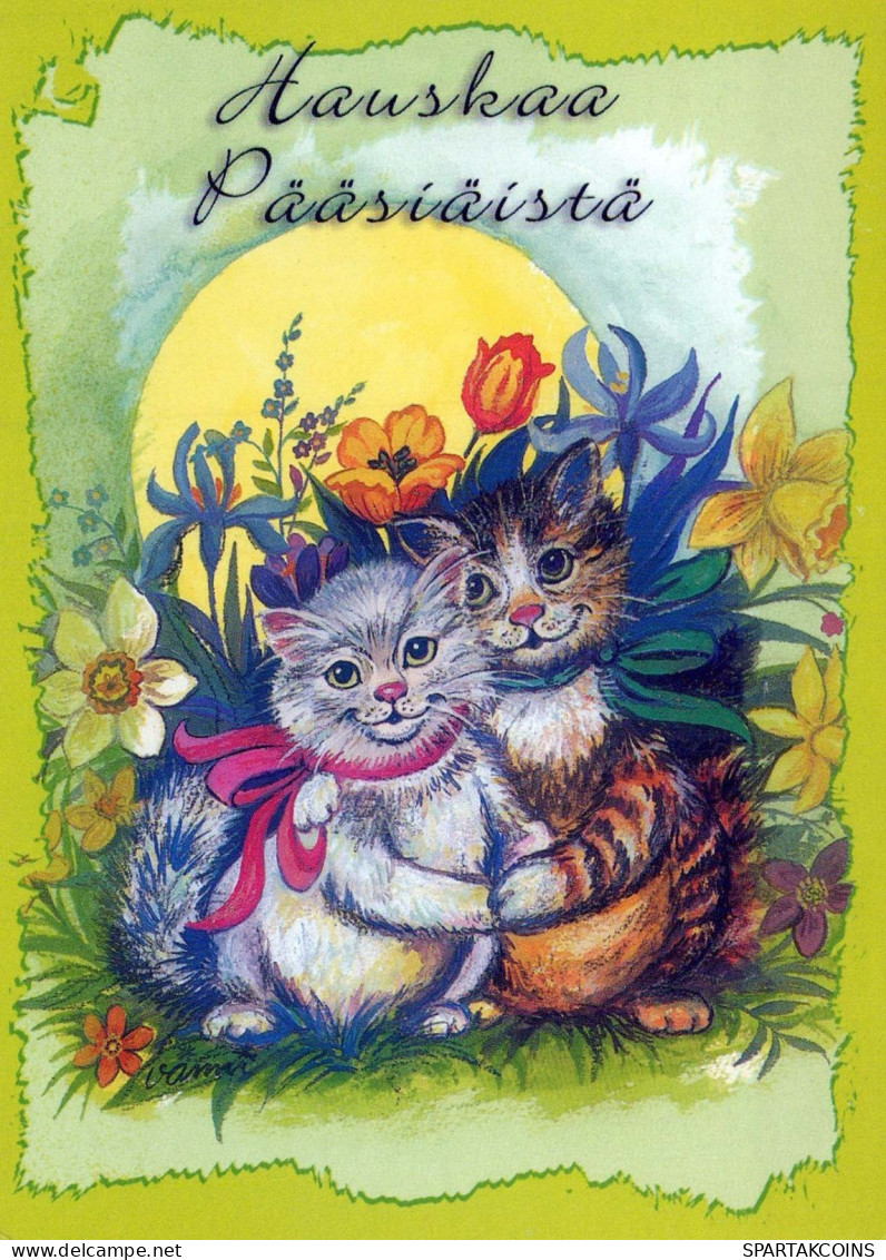 GATO GATITO Animales Vintage Tarjeta Postal CPSM #PBQ789.A - Katten