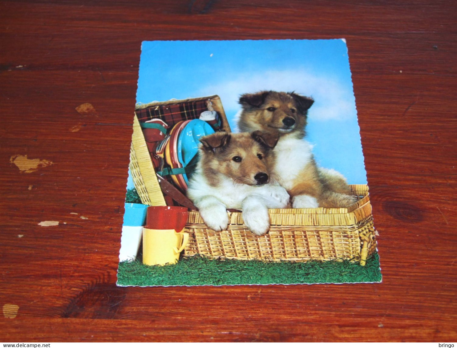 76367-       10 CARDS - HONDEN / DOG DOGS / HUNDE / CHIENS / PERROS