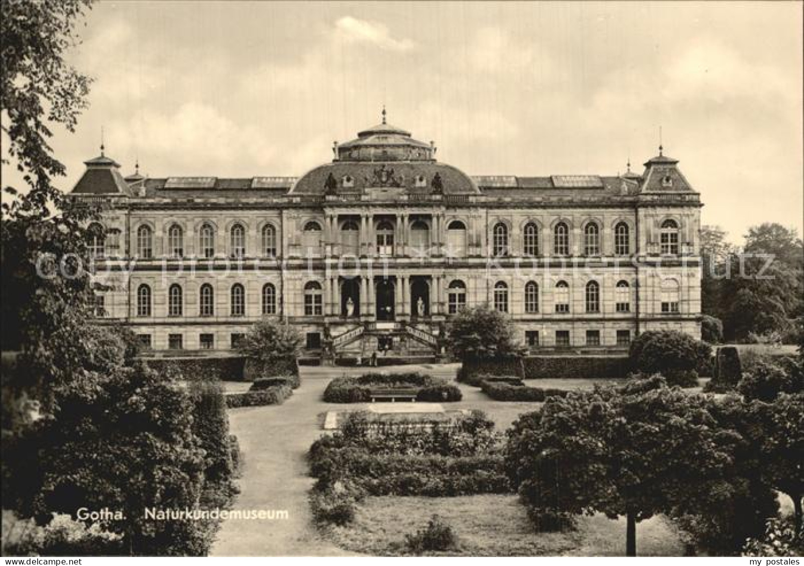 72505780 Gotha Thueringen Naturkundenmuseum Gotha - Gotha