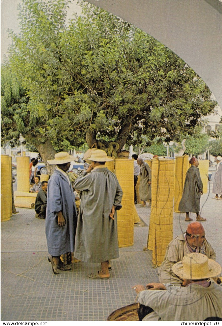 Jerba Houmt Souk - Tunisia