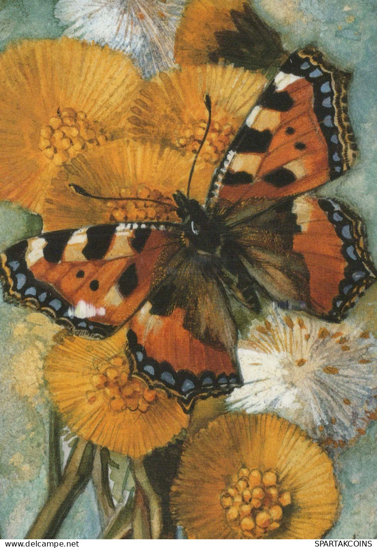 BUTTERFLIES Animals Vintage Postcard CPSM #PBS470.A - Papillons