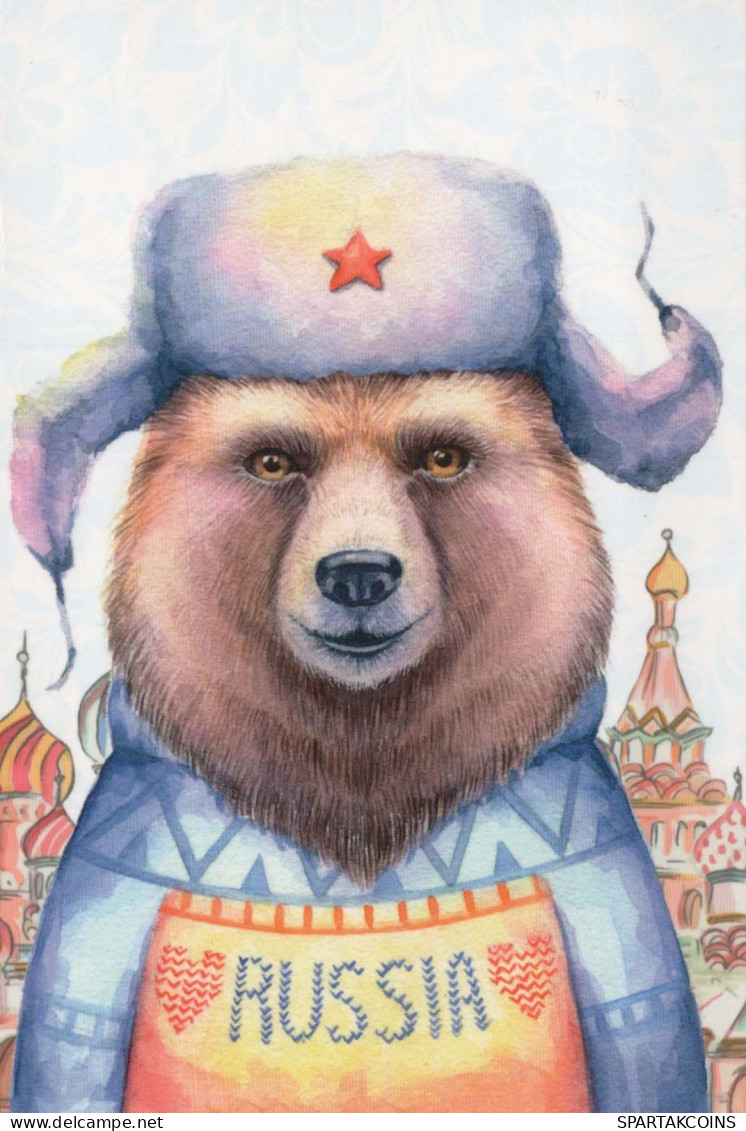 BEAR Animals Vintage Postcard CPSM #PBS105.A - Bears