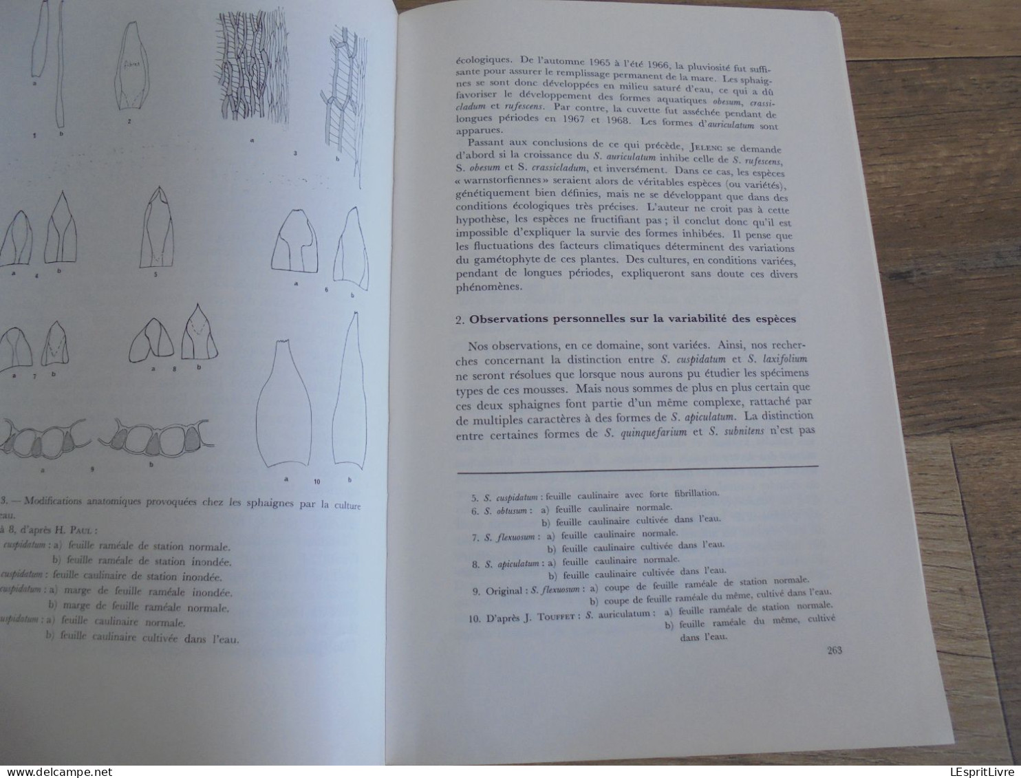 LES NATURALISTES BELGES N° 6 Année 1974 Régionalisme Pédiculaire des Marais Nord France Sphaignes Botanique Flore Plante