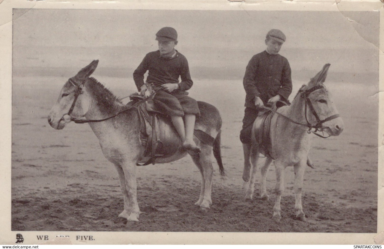 DONKEY Animals Children Vintage Antique Old CPA Postcard #PAA343.A - Donkeys