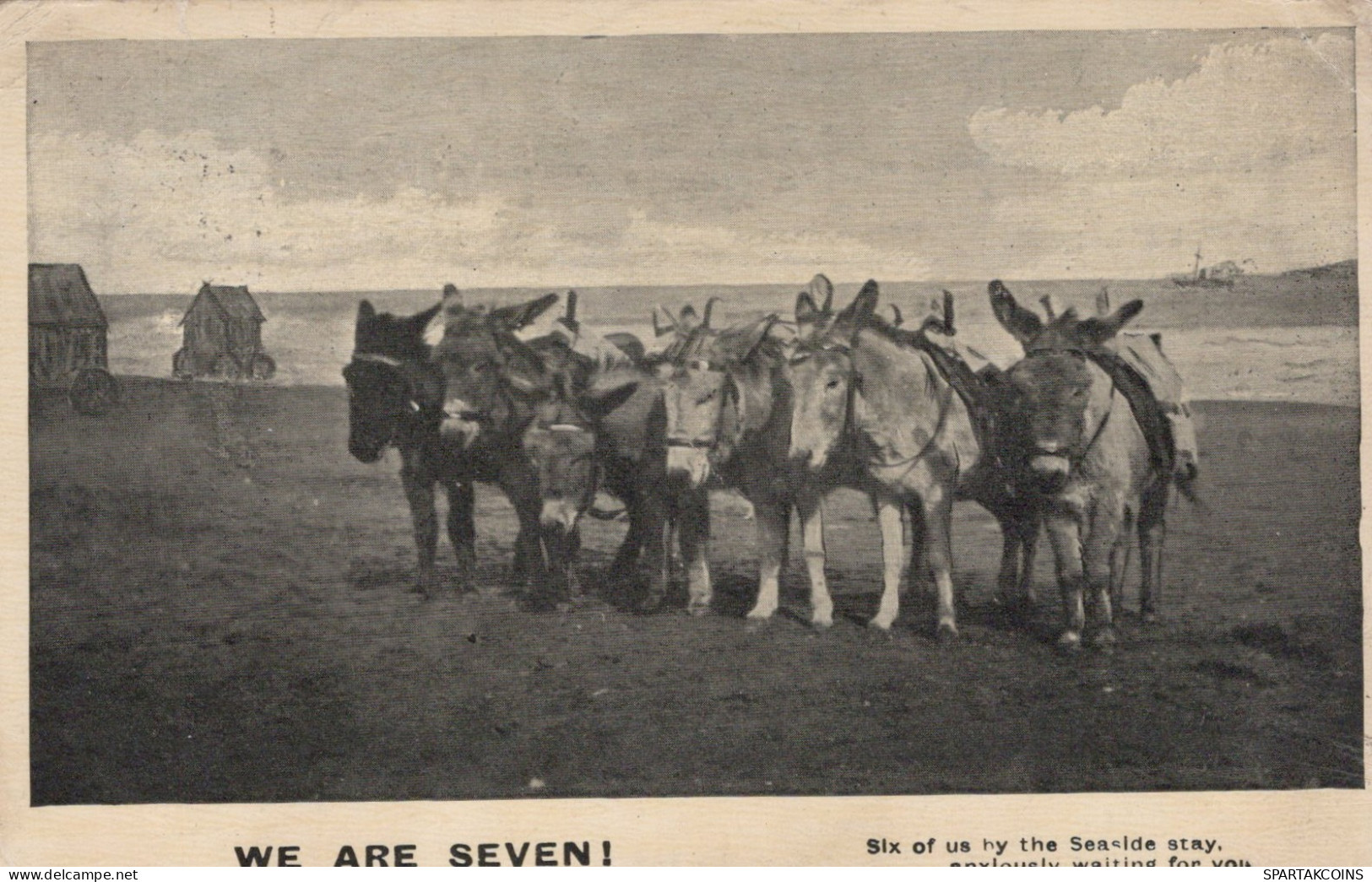 ASINO Animale Vintage CPA Cartolina #PAA207.A - Donkeys