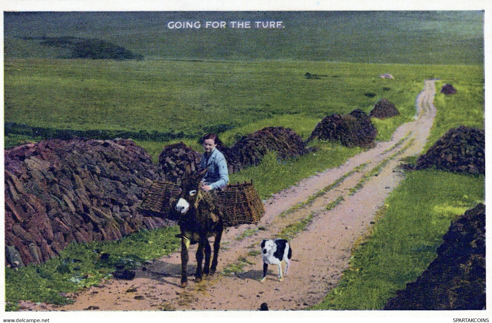 ESEL Tiere Kinder Vintage Antik Alt CPA Ansichtskarte Postkarte #PAA007.A - Donkeys