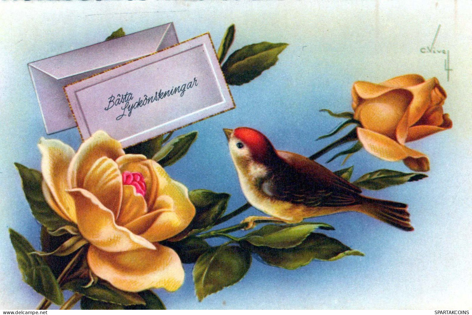 FLOWERS Vintage Postcard CPSMPF #PKG084.A - Blumen