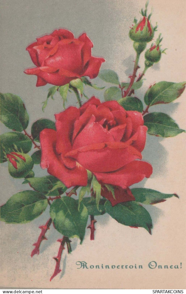 FIORI Vintage Cartolina CPSMPF #PKG011.A - Blumen