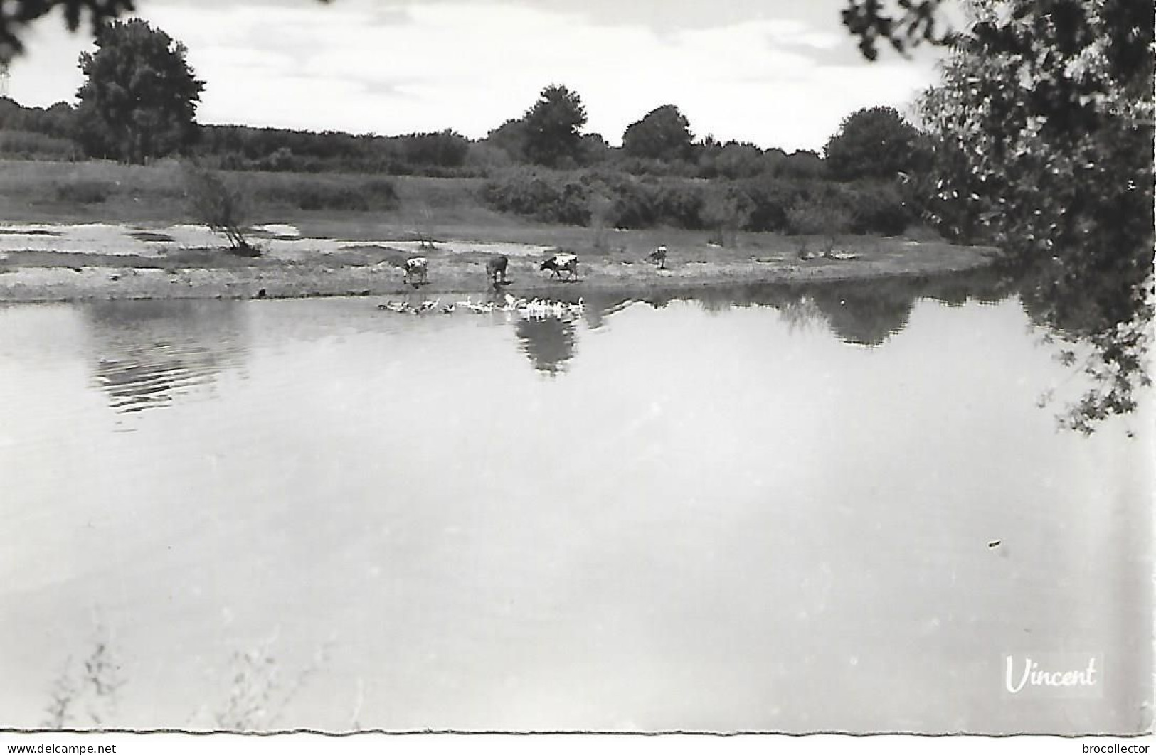 PRECHACQ Les BAINS ( 40 ) - Les Bords De L'Adour   ( C.P.S.M. , Pt - Ft ) - Sonstige & Ohne Zuordnung