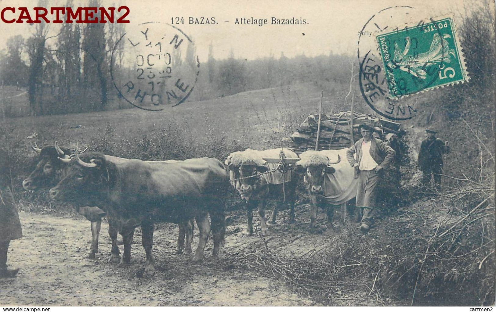 BAZAS ATTELAGE BAZANDAIS BEAU PLAN BOEUFS BUCHERON TRANSPORT DE BOIS 33 GIRONDE - Bazas