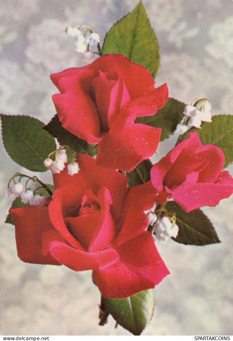 FLOWERS Vintage Postcard CPSM #PAR943.GB - Flowers