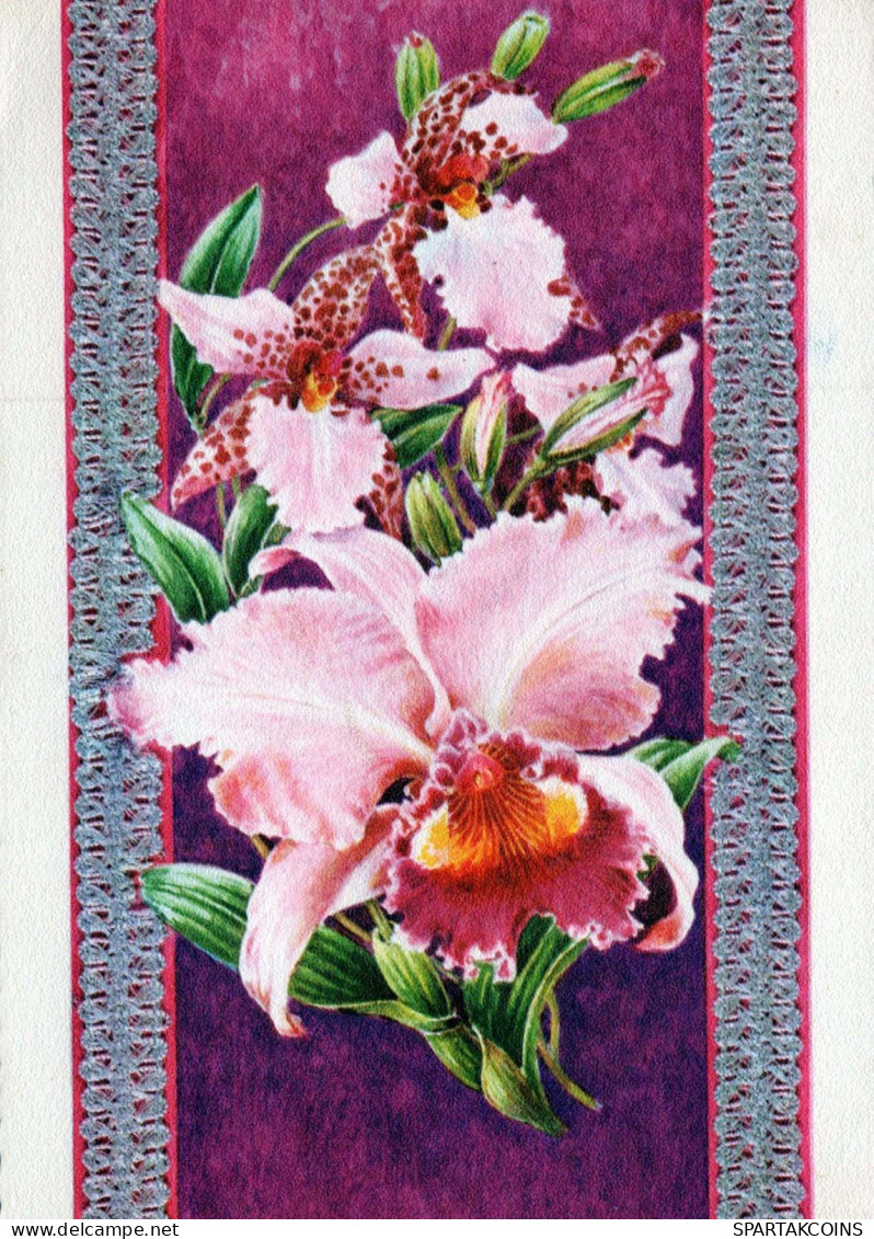 FLOWERS Vintage Postcard CPSM #PAR162.GB - Flores