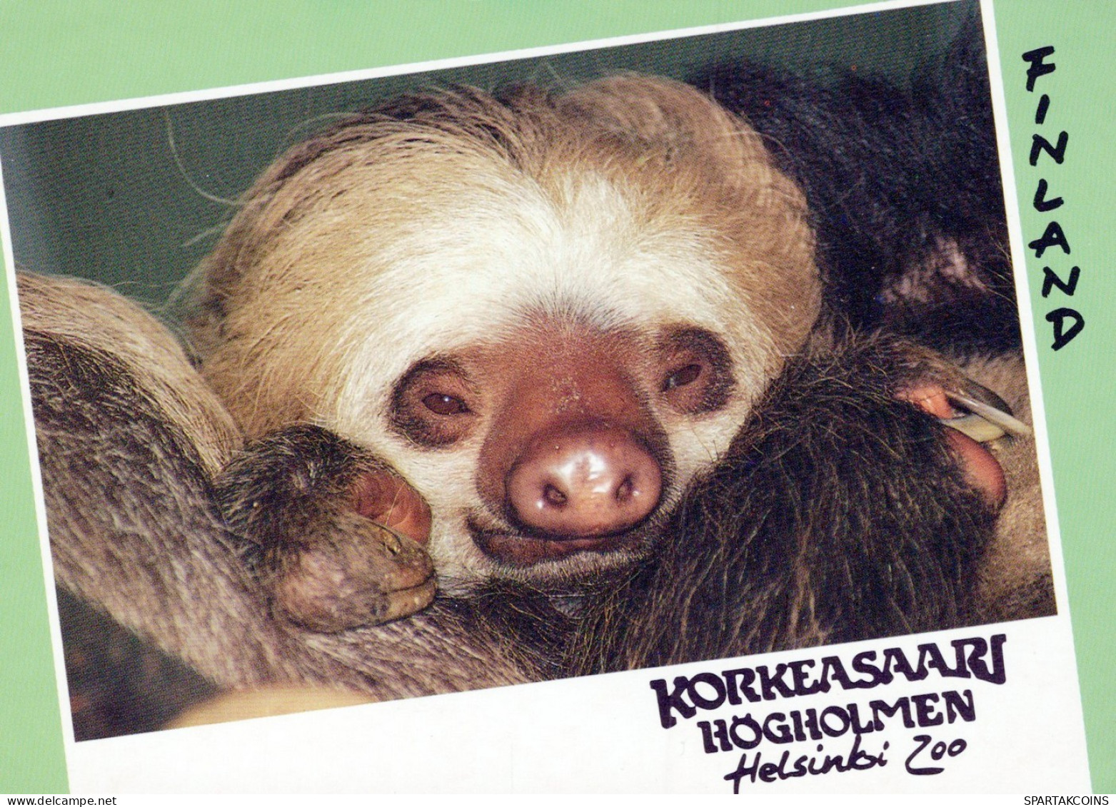MONKEY Animals Vintage Postcard CPSM #PAN980.GB - Monos