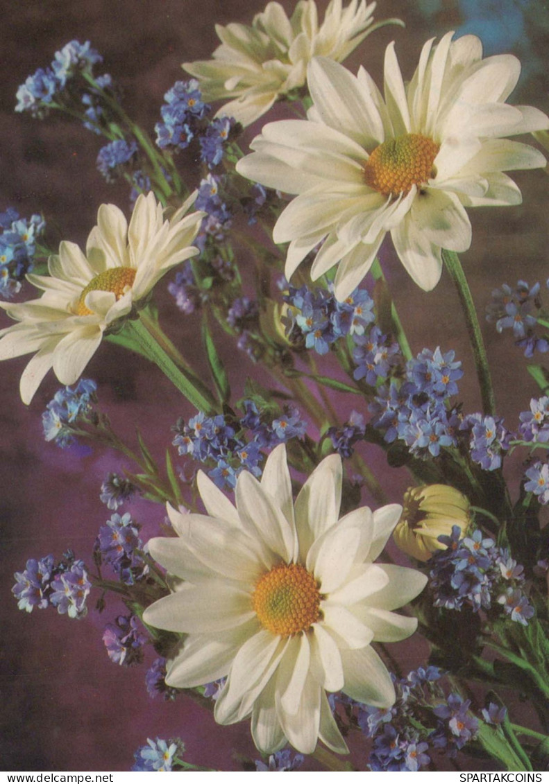 FLOWERS Vintage Postcard CPSM #PAR282.GB - Flores