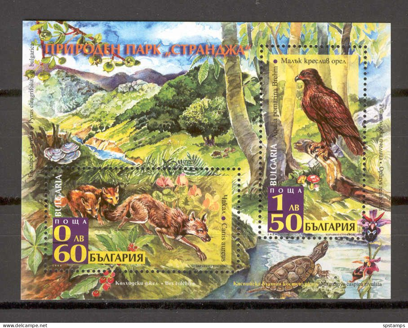 Bulgaria 2008 Animals - Birds - 2008 Nature Preserve STRANDZA MS MNH - Unused Stamps