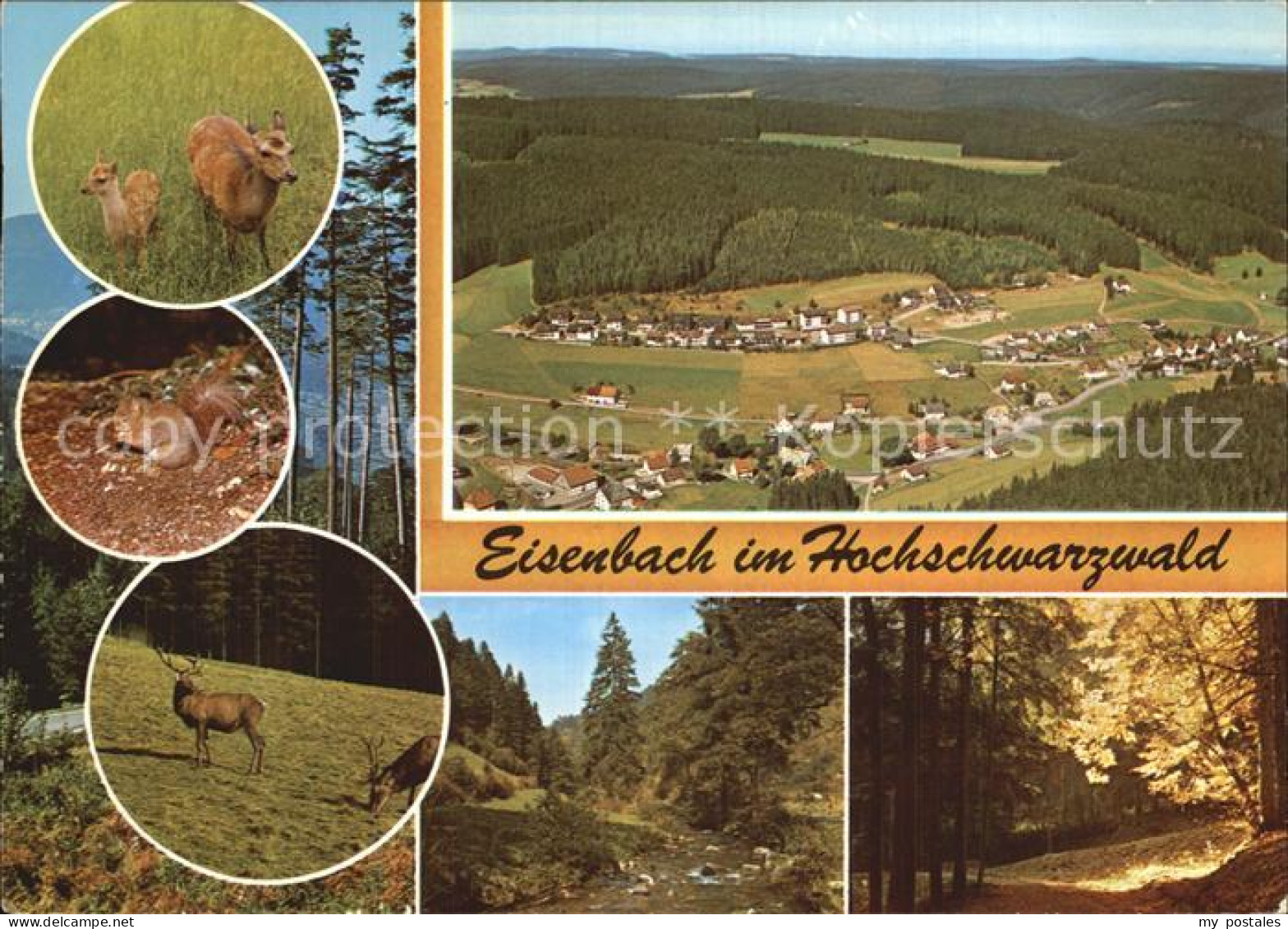 72504888 Eisenbach Schwarzwald Panorama  Eisenbach - Other & Unclassified