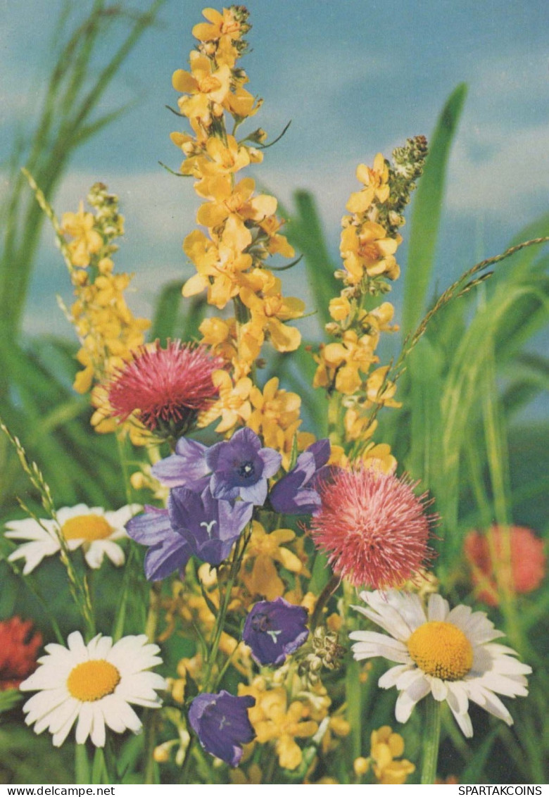 FIORI Vintage Cartolina CPSM #PAR226.IT - Flores