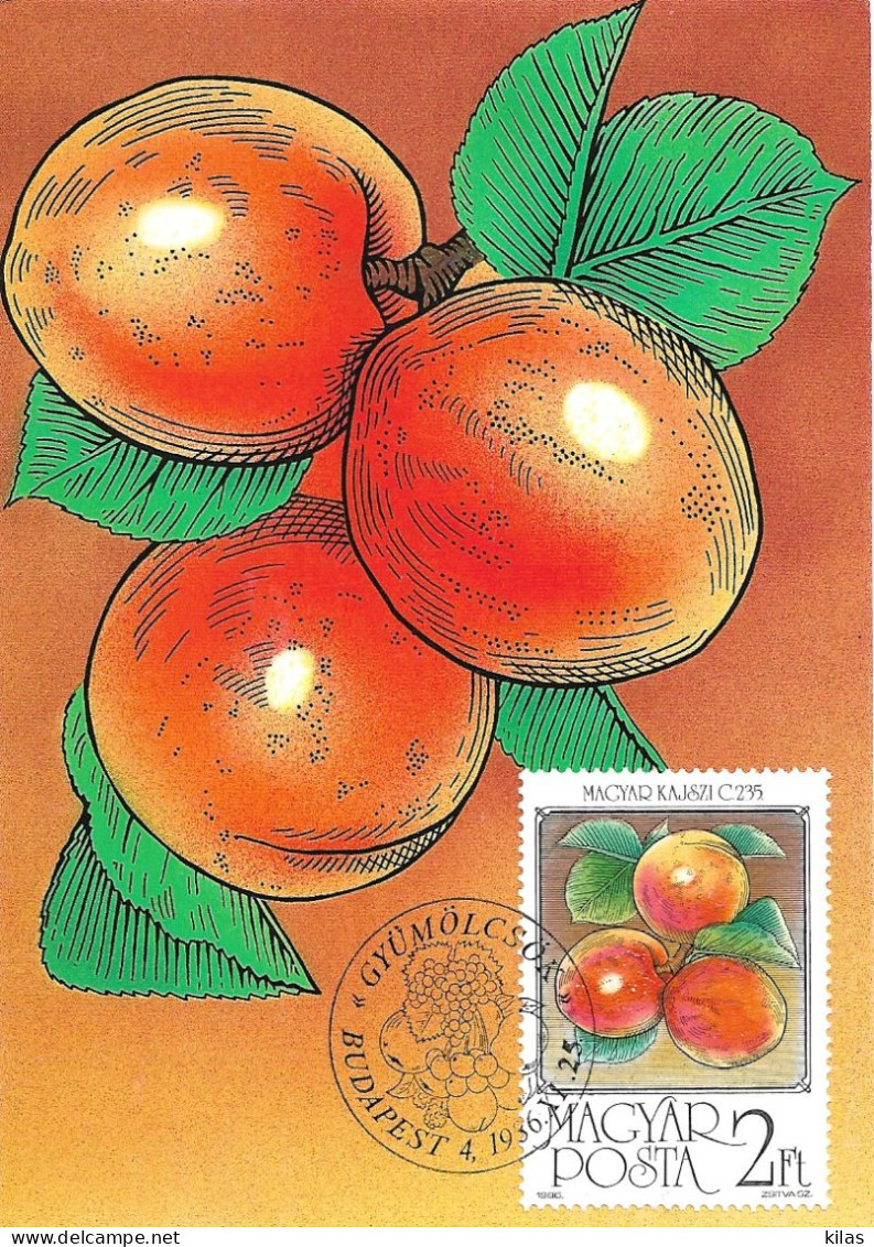 HUNGARY 1986 Fruits Maximum Cards Complet Set  MNH - Cartes-maximum (CM)