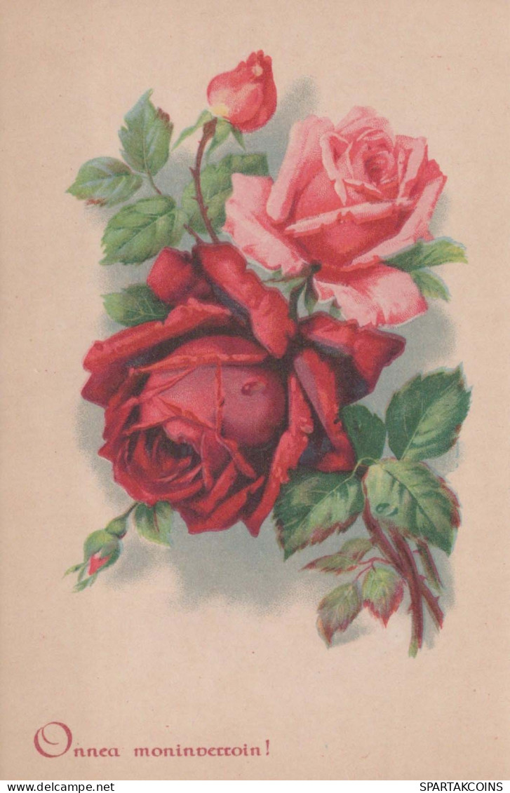 FLOWERS Vintage Postcard CPSMPF #PKG009.GB - Blumen