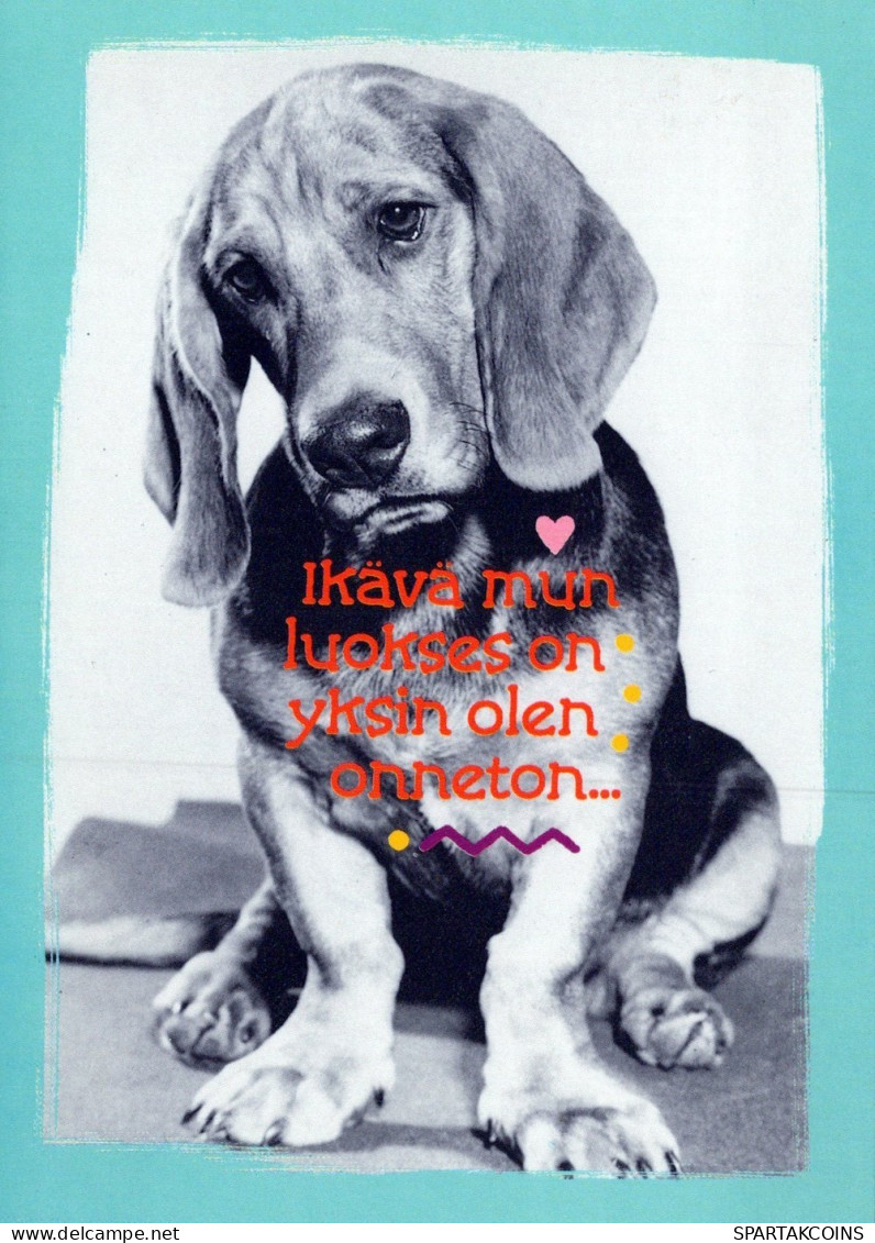 HUND Tier Vintage Ansichtskarte Postkarte CPSM #PAN850.DE - Dogs