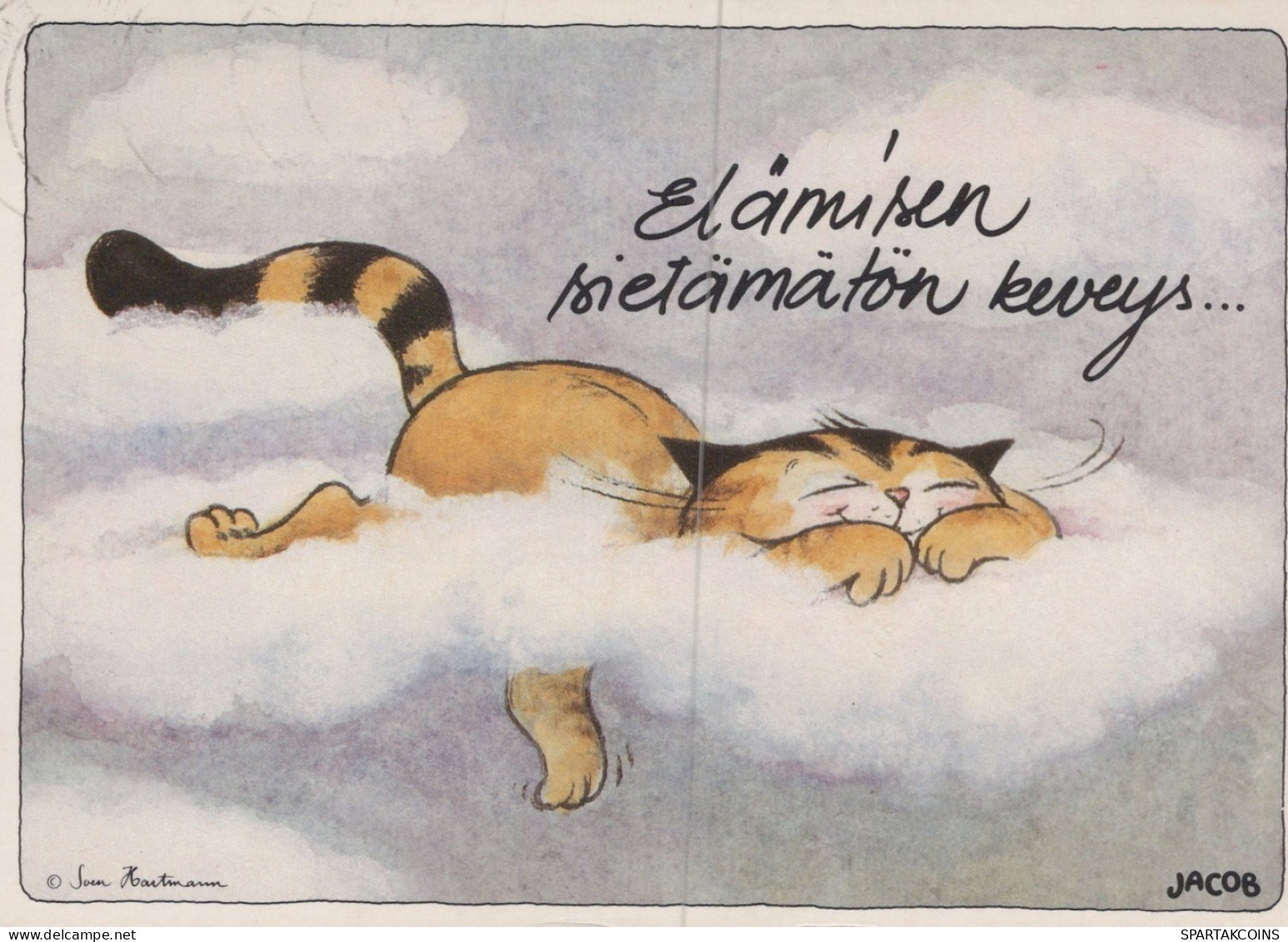KATZE MIEZEKATZE Tier Vintage Ansichtskarte Postkarte CPSM #PAM208.DE - Katten