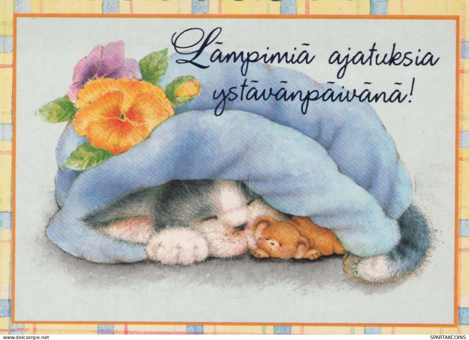 GATTO KITTY Animale Vintage Cartolina CPSM #PBQ996.IT - Cats
