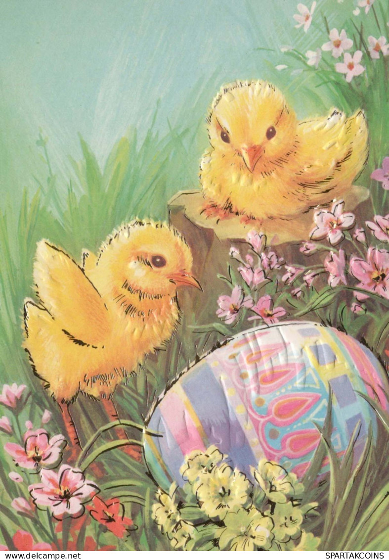 PASQUA POLLO UOVO Vintage Cartolina CPSM #PBO702.IT - Easter