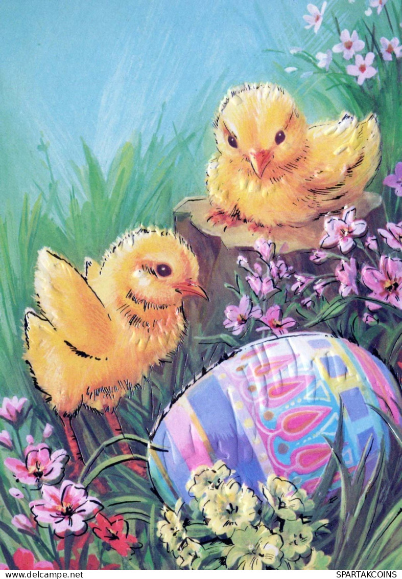 PASQUA POLLO UOVO Vintage Cartolina CPSM #PBO702.IT - Easter