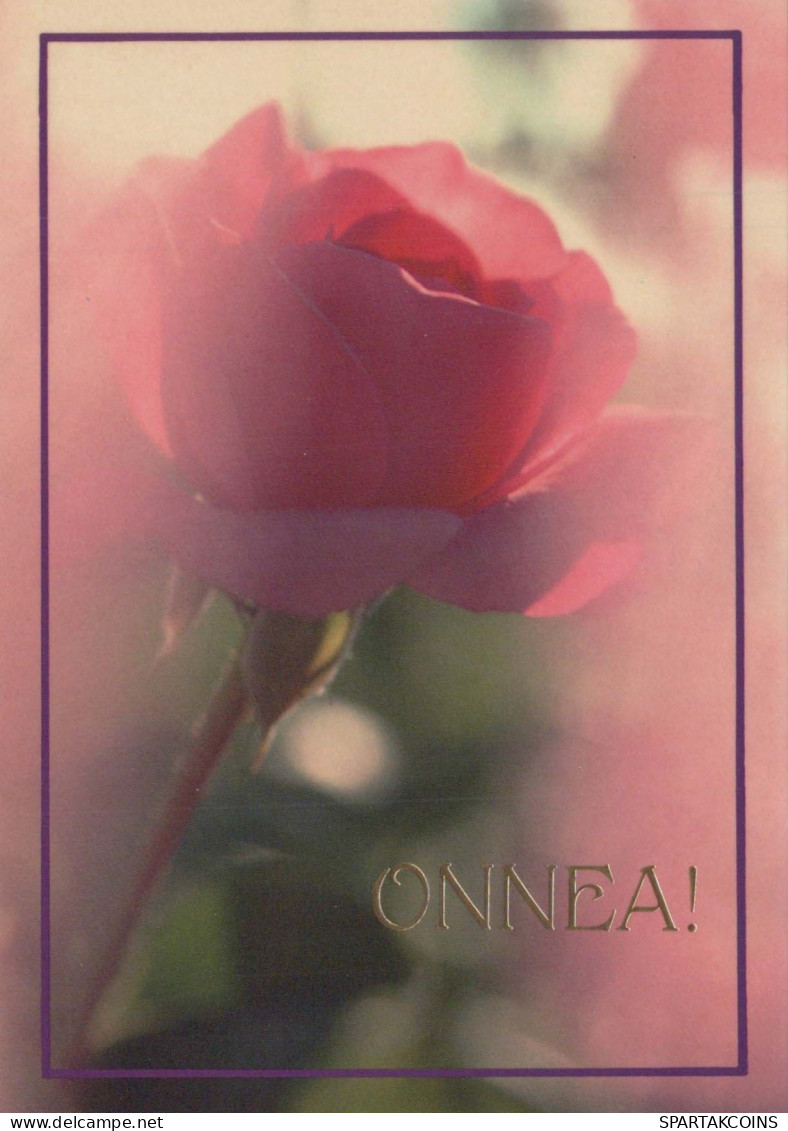 FLOWERS Vintage Ansichtskarte Postkarte CPSM #PBZ594.DE - Fleurs