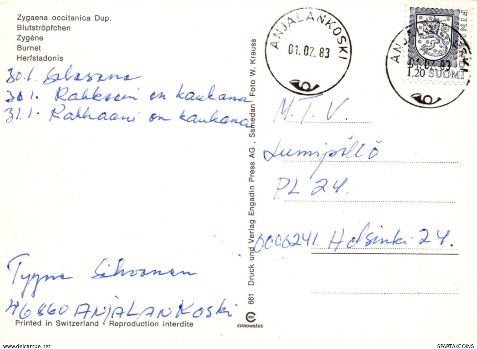 SCHMETTERLINGE Tier Vintage Ansichtskarte Postkarte CPSM #PBS442.DE - Vlinders