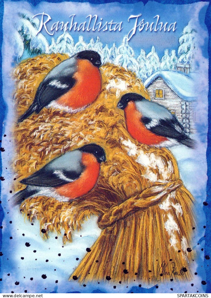 VOGEL Tier Vintage Ansichtskarte Postkarte CPSM #PBR401.DE - Birds