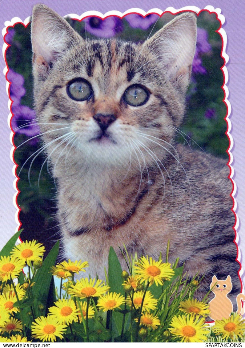 KATZE MIEZEKATZE Tier Vintage Ansichtskarte Postkarte CPSM #PBQ748.DE - Cats