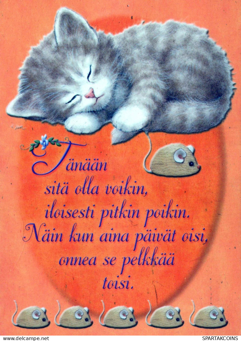KATZE MIEZEKATZE Tier Vintage Ansichtskarte Postkarte CPSM #PBQ932.DE - Cats
