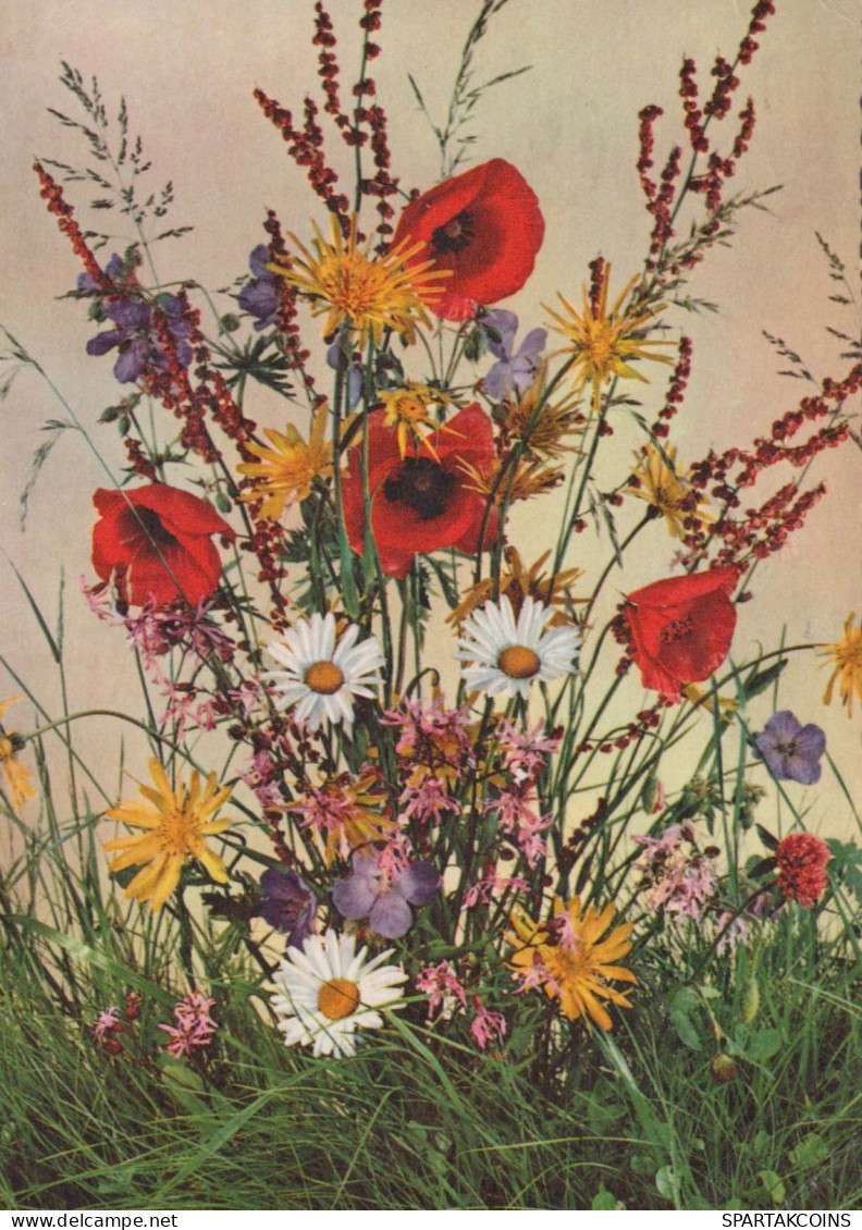 FLEURS Vintage Carte Postale CPSM #PAR224.FR - Flowers