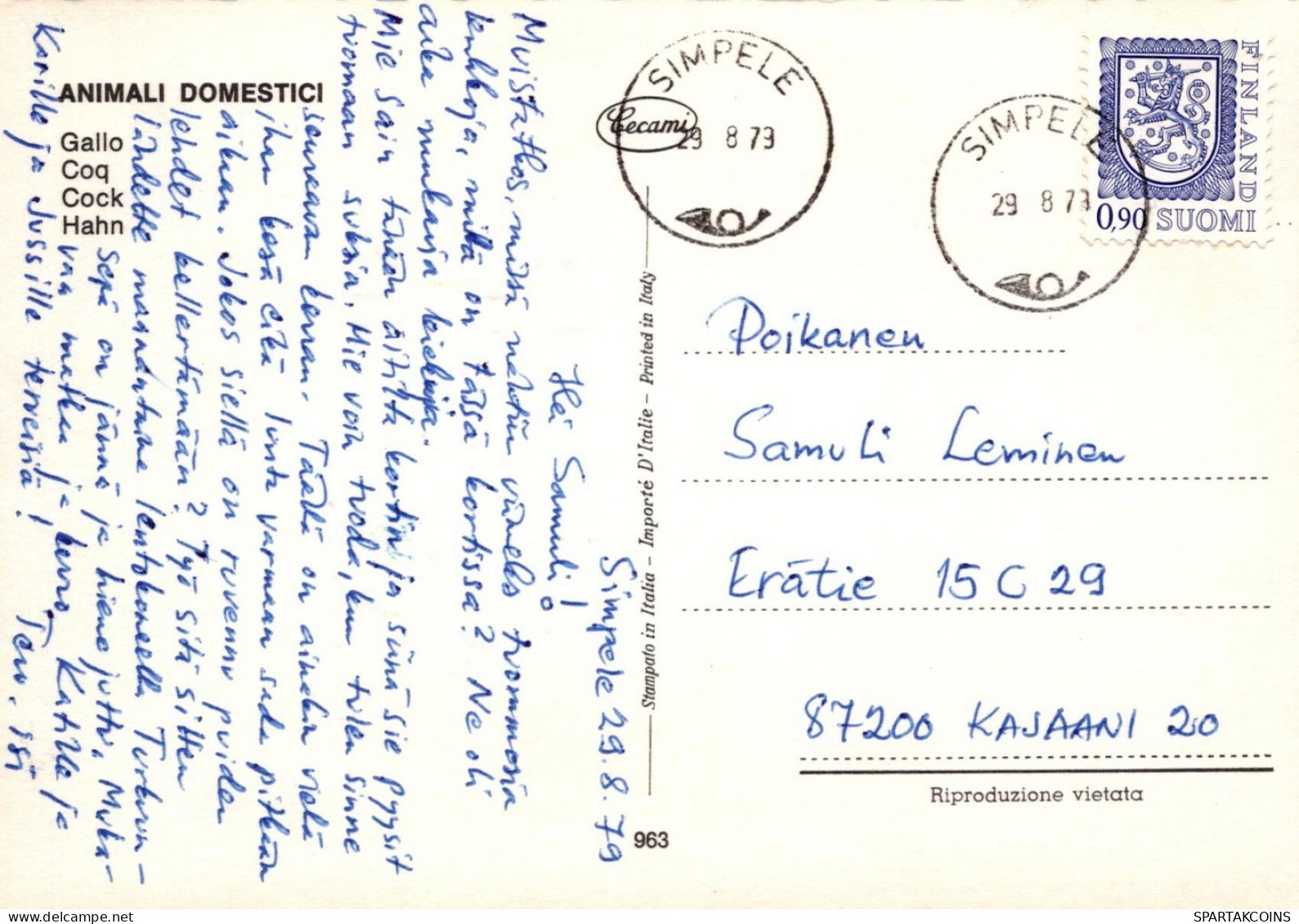 OISEAU Animaux Vintage Carte Postale CPSM #PAN393.FR - Vögel