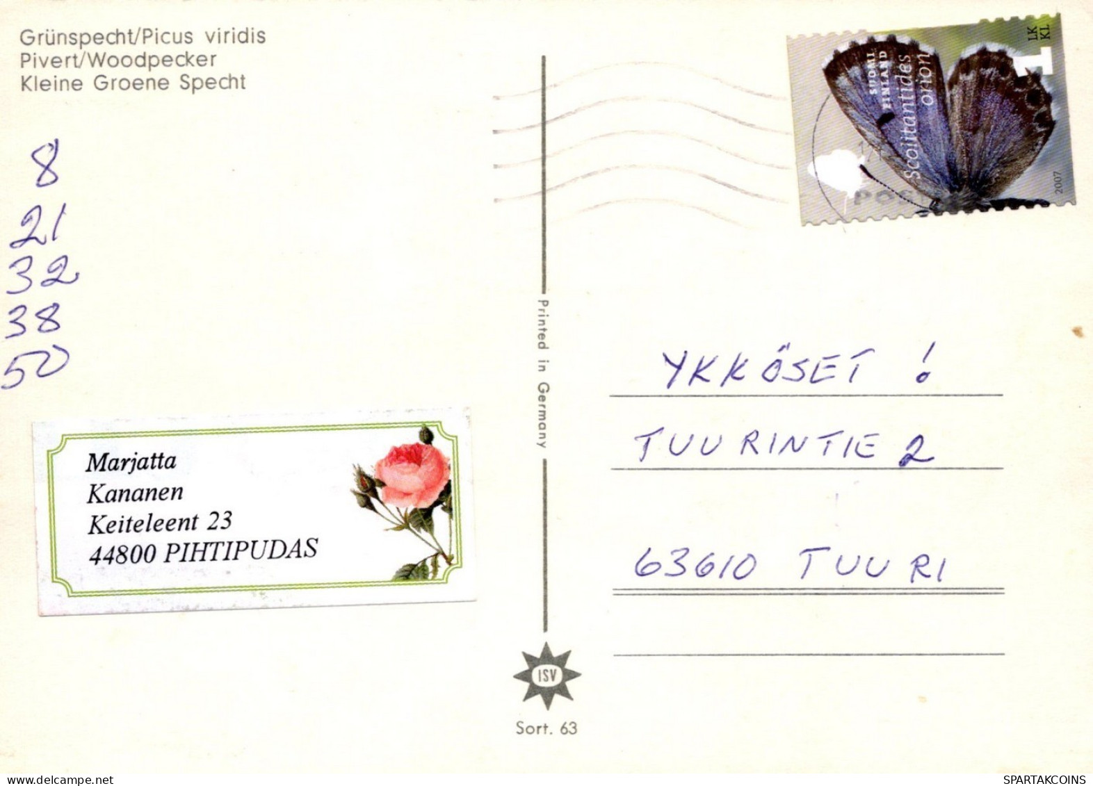 OISEAU Animaux Vintage Carte Postale CPSM #PAM713.FR - Birds